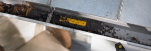 Looj 330 detail