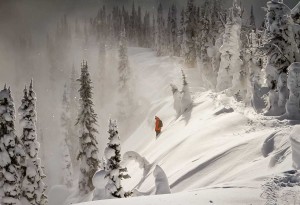 Baldface Powder - LumberJac