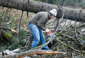 Branch Stool4 - LumberJac