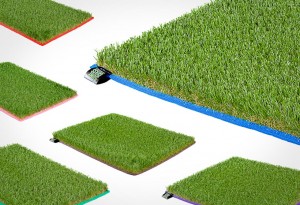 Surf Grass Colors1 - LumberJac
