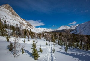 skoki-lodge2-LumberJac