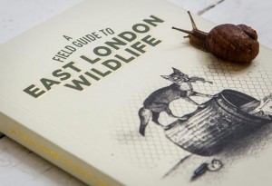 east-london-wildlife1-LumberJac-Lumberjack