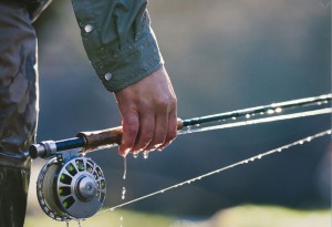 Western-Rise7-LumberJac