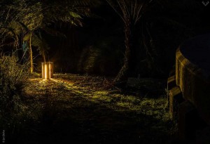 Cracked-Log-Light-3-LumberJac