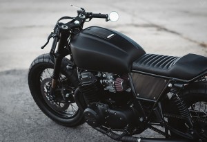 Twenty-2-Custom-Bike-3-LumberJac