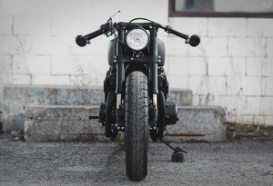 Twenty-2-Custom-Bike-4-LumberJac