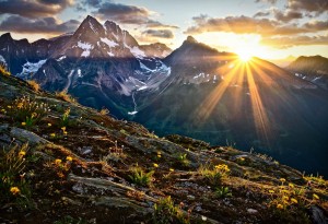 Patagonia-presents-Jumbo-Wild-2-LumberJac