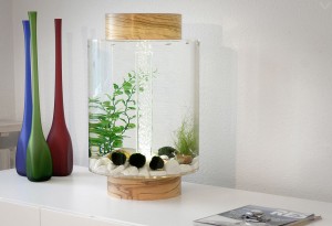 Norrow Aquarium