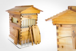 Flow-Beehive-2-LumberJac