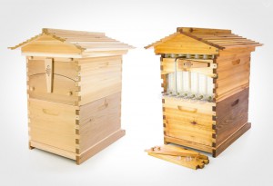 Flow-Beehive-4-LumberJac