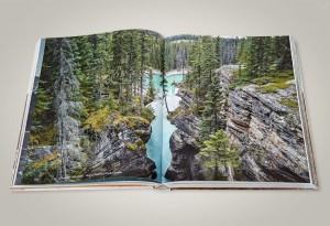 The-Great-Wide-Open-Book-2-LumberJac