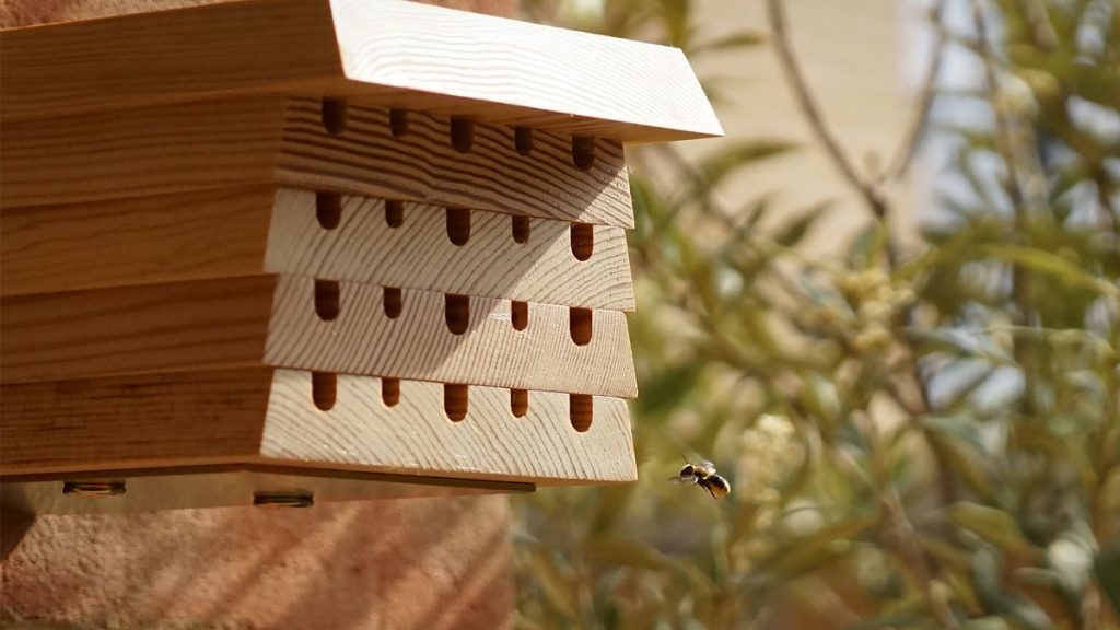 Hive Five Bee House