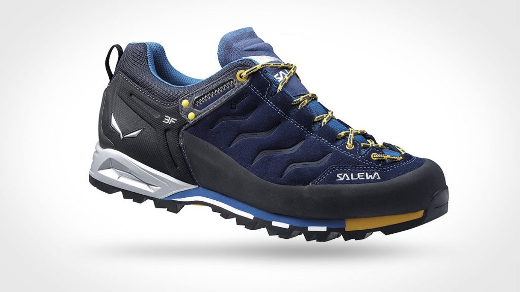 Salewa Mountain Trainer GTX Shoes
